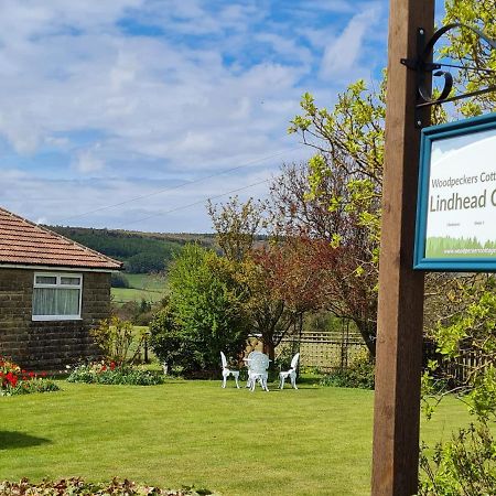 Woodpeckers Cottage Scarborough Exterior foto