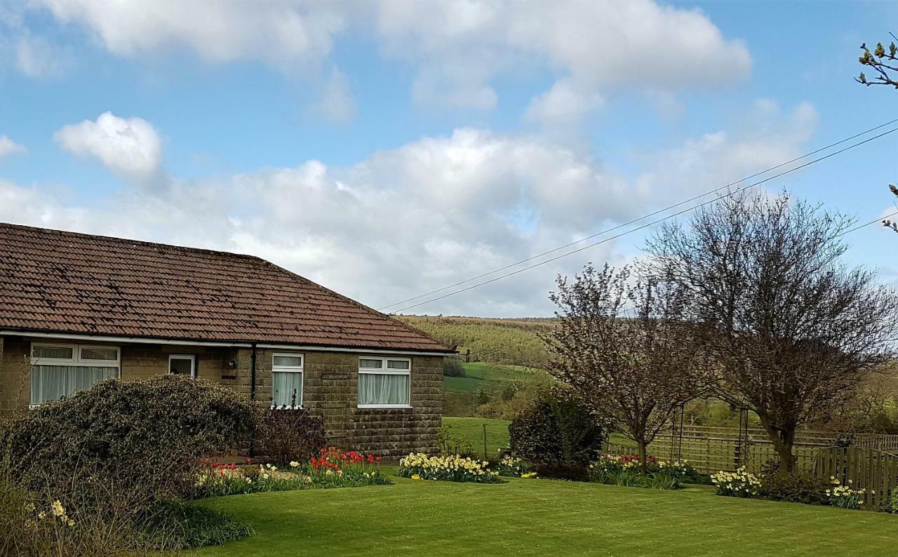 Woodpeckers Cottage Scarborough Exterior foto